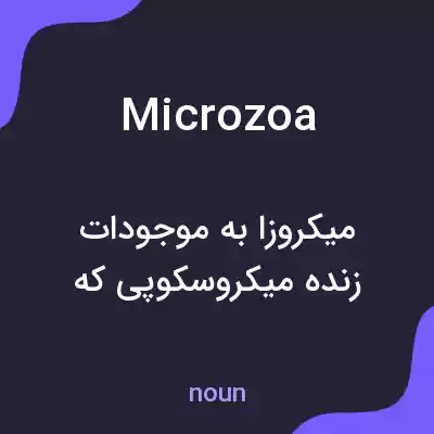 معنی microzoa به فارسی معنی microzoa به فارسی