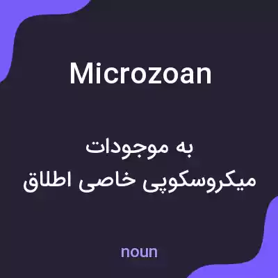 معنی microzoan به فارسی معنی microzoan به فارسی