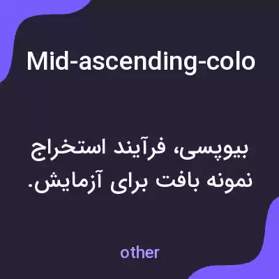 معنی mid-ascending-colon-two-ulcer-in-recto_sigmoid-bx-was-taken-moid به فارسی
