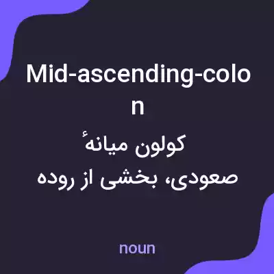 معنی mid-ascending-colon به فارسی