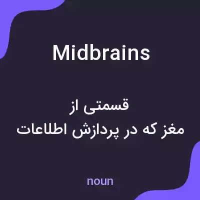 معنی midbrains به فارسی معنی midbrains به فارسی
