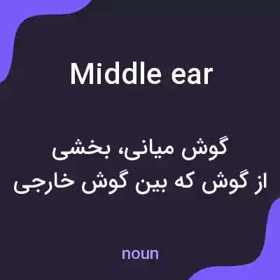 معنی middle ear به فارسی معنی middle ear به فارسی