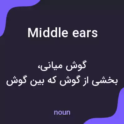 معنی middle ears به فارسی معنی middle ears به فارسی