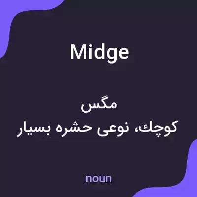 معنی midge به فارسی معنی midge به فارسی