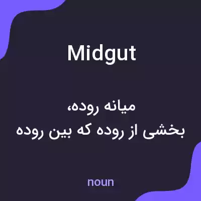 معنی midgut به فارسی معنی midgut به فارسی