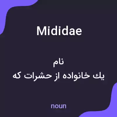 معنی mididae به فارسی معنی mididae به فارسی