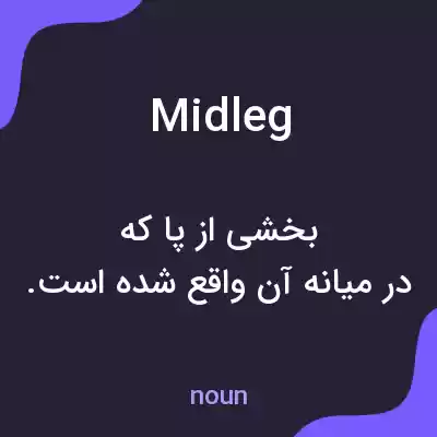 معنی midleg به فارسی معنی midleg به فارسی