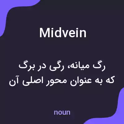 معنی midvein به فارسی