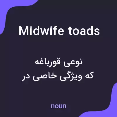 معنی midwife toads به فارسی معنی midwife toads به فارسی