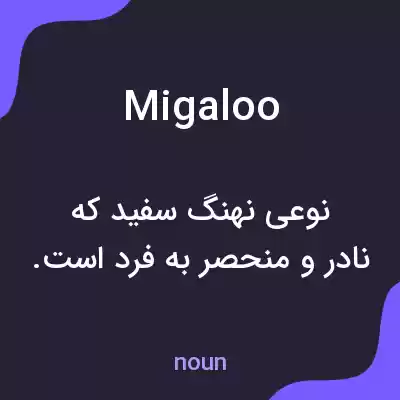 معنی migaloo به فارسی معنی migaloo به فارسی