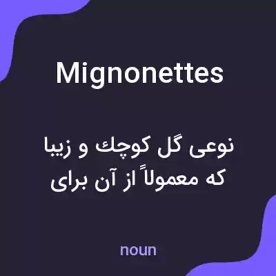 معنی mignonettes به فارسی معنی mignonettes به فارسی