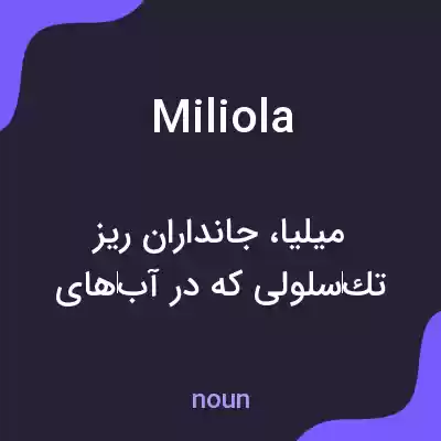 معنی miliola به فارسی معنی miliola به فارسی