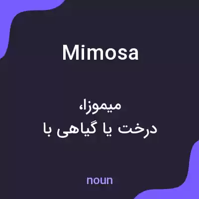 معنی mimosa به فارسی معنی mimosa به فارسی