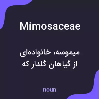 معنی mimosaceae به فارسی معنی mimosaceae به فارسی