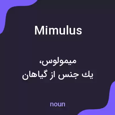 معنی mimulus به فارسی معنی mimulus به فارسی