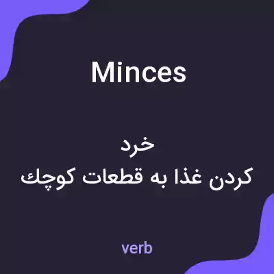 معنی minces به فارسی معنی minces به فارسی