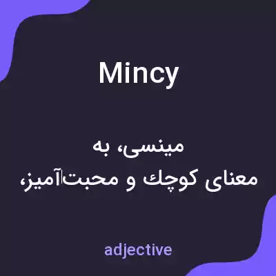 معنی mincy به فارسی معنی mincy به فارسی