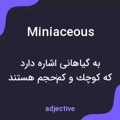 معنی miniaceous به فارسی معنی miniaceous به فارسی