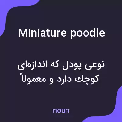 معنی miniature poodle به فارسی معنی miniature poodle به فارسی