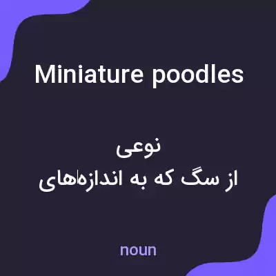 معنی miniature poodles به فارسی معنی miniature poodles به فارسی