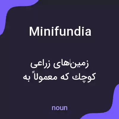 معنی minifundia به فارسی معنی minifundia به فارسی