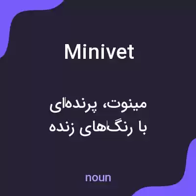 معنی minivet به فارسی
