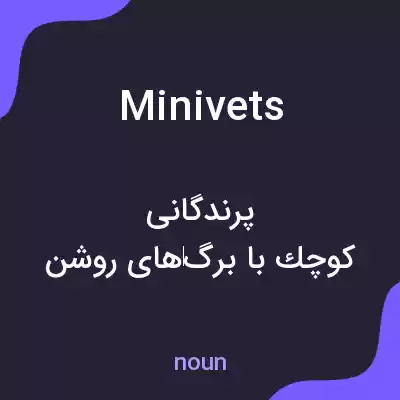 معنی minivets به فارسی معنی minivets به فارسی