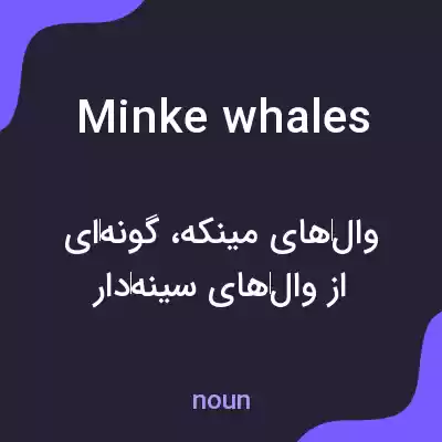 معنی minke whales به فارسی
