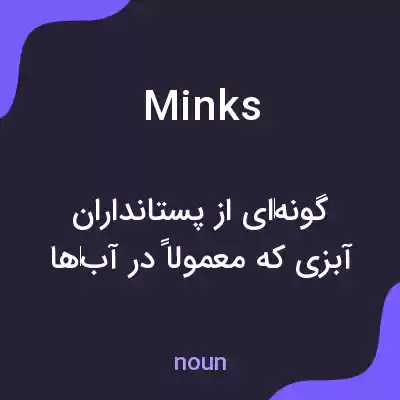 معنی minks به فارسی معنی minks به فارسی
