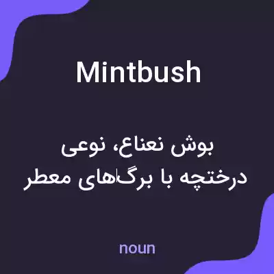 معنی mintbush به فارسی معنی mintbush به فارسی