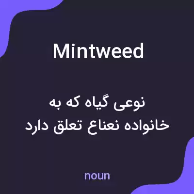 معنی mintweed به فارسی معنی mintweed به فارسی