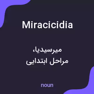 معنی miracicidia به فارسی معنی miracicidia به فارسی
