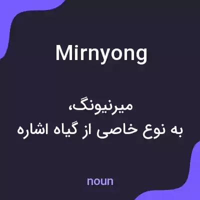 معنی mirnyong به فارسی