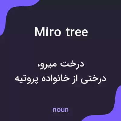 معنی miro tree به فارسی معنی miro tree به فارسی