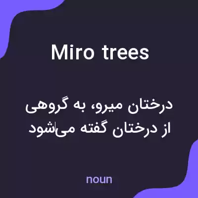معنی miro trees به فارسی معنی miro trees به فارسی