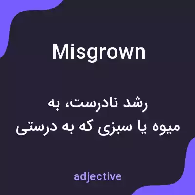 معنی misgrown به فارسی معنی misgrown به فارسی