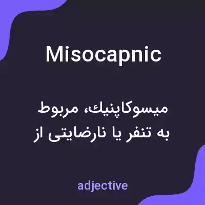 معنی misocapnic به فارسی معنی misocapnic به فارسی