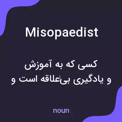معنی misopaedist به فارسی معنی misopaedist به فارسی