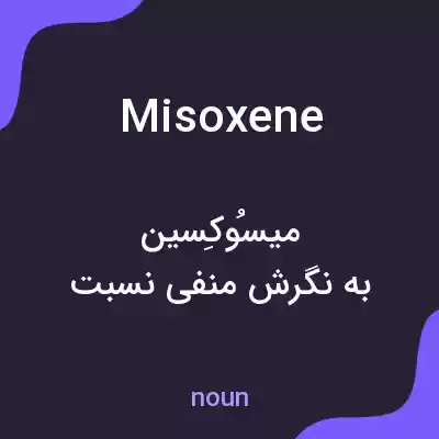 معنی misoxene به فارسی معنی misoxene به فارسی