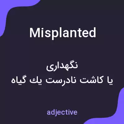 معنی misplanted به فارسی معنی misplanted به فارسی