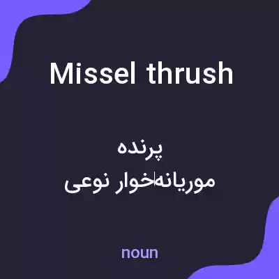 معنی missel thrush به فارسی معنی missel thrush به فارسی