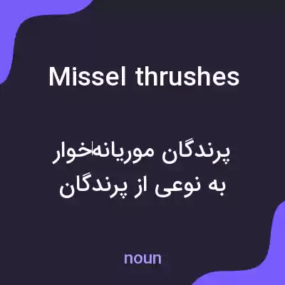 معنی missel thrushes به فارسی معنی missel thrushes به فارسی