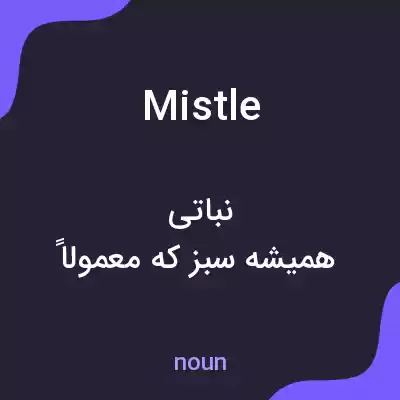 معنی mistle به فارسی معنی mistle به فارسی