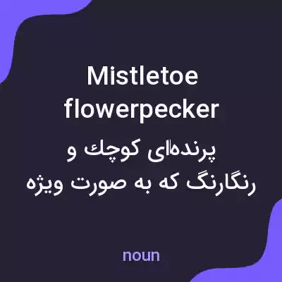 معنی mistletoe flowerpecker به فارسی معنی mistletoe flowerpecker به فارسی