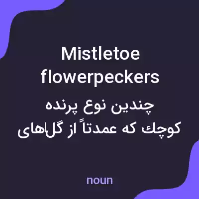 معنی mistletoe flowerpeckers به فارسی معنی mistletoe flowerpeckers به فارسی