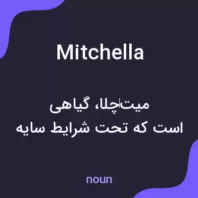معنی mitchella به فارسی معنی mitchella به فارسی