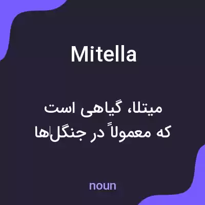 معنی mitella به فارسی معنی mitella به فارسی