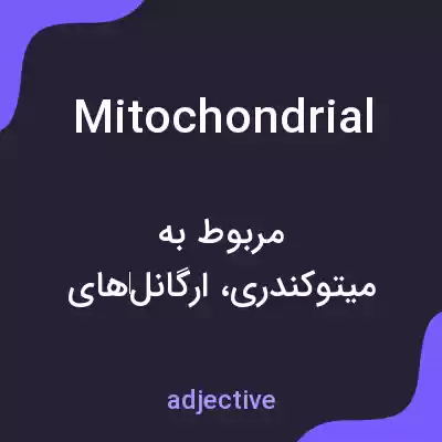 معنی mitochondrial به فارسی