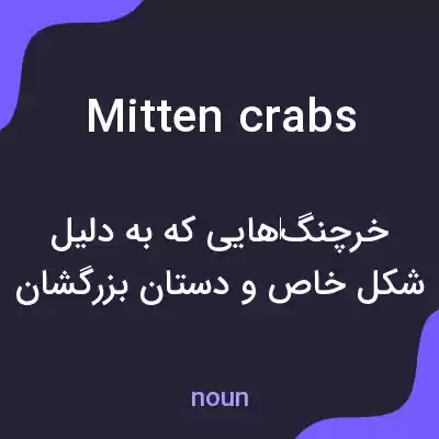معنی mitten crabs به فارسی معنی mitten crabs به فارسی