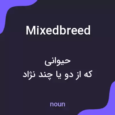 معنی mixedbreed به فارسی معنی mixedbreed به فارسی
